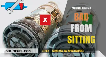 Can Fuel Pumps Fail After Prolonged Vehicle Inactivity?