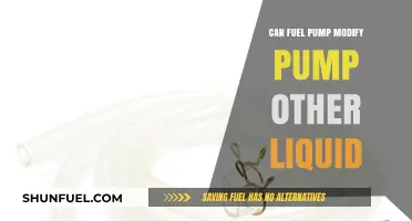 Can Fuel Pumps Efficiently Modify and Pump Other Liquids?
