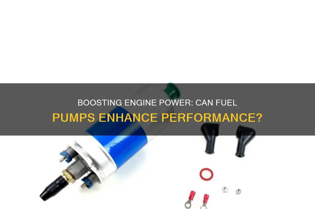 can fuel pumps enhance performance