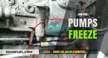 Can Fuel Pumps Freeze? Understanding Winter Fuel System Risks