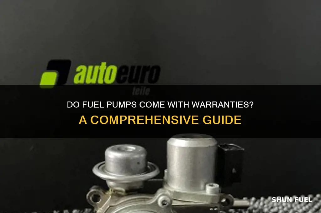 can fuel pumps have a warrenty