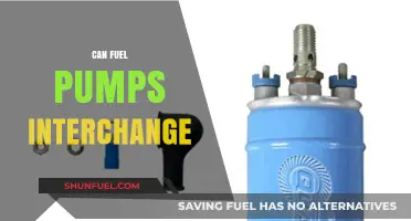 Can Fuel Pumps Interchange? Compatibility and Replacement Guide