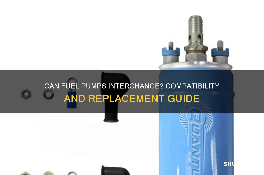 can fuel pumps interchange