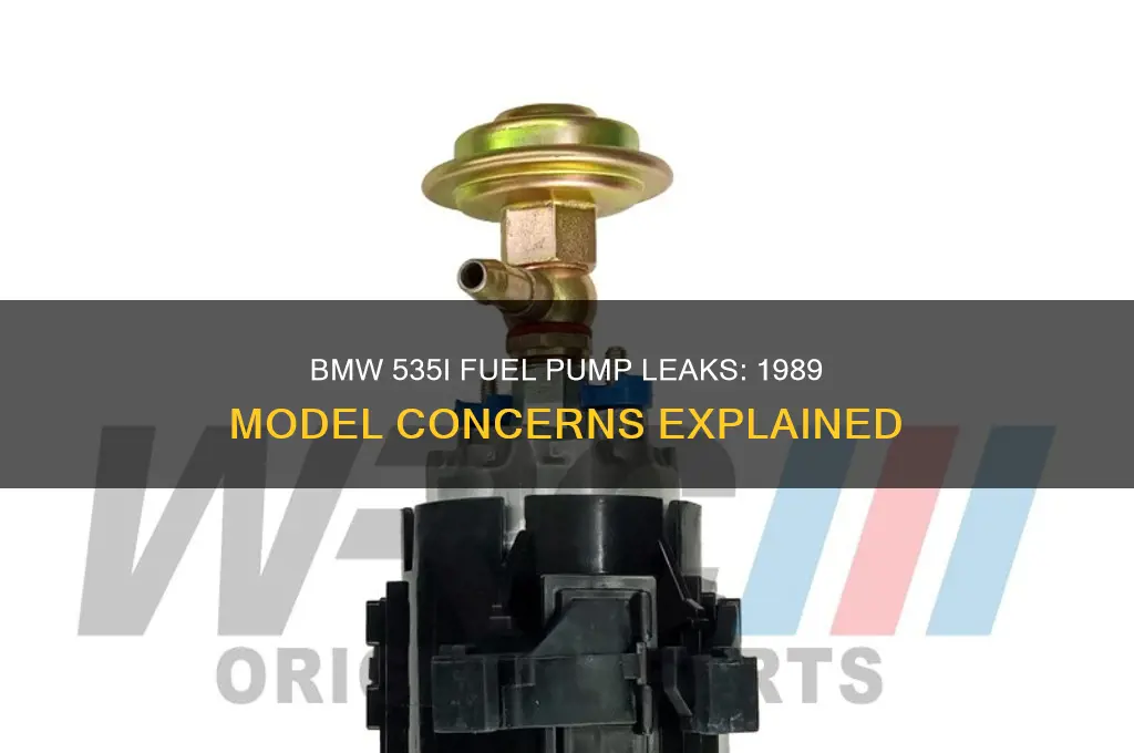 can fuel pumps leak in a 1989 bmw 535i