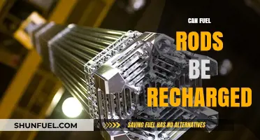 Recharging Fuel Rods: Exploring the Possibility of Reuse in Nuclear Energy