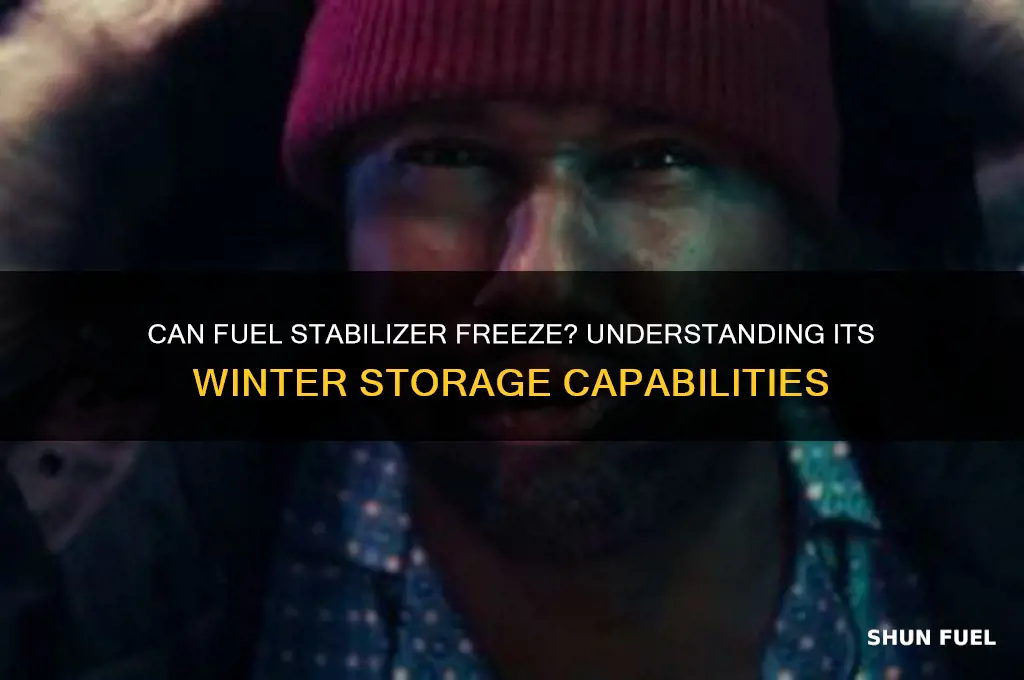 can fuel stabilizer freeze