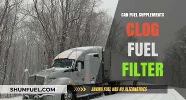 Fuel Supplements: Clogged Filter Culprit or Car-Savior?