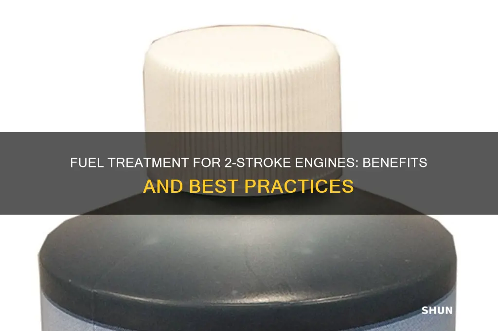 can fuel treatment be used for 2 stroke
