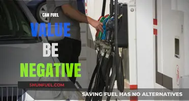 Can Fuel Value Go Negative? Exploring Energy Economics and Pricing