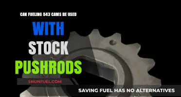 Using 543 Cams with Stock Pushrods: Compatibility and Performance Insights