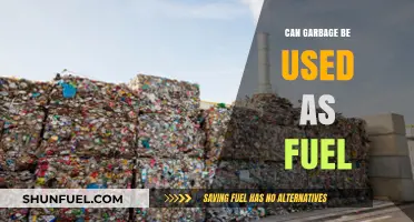 Turning Trash to Energy: Can Garbage Power Our Future?