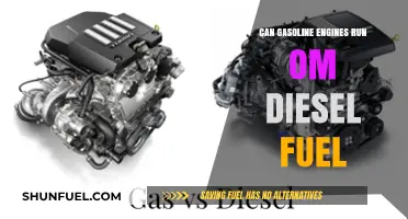 Gasoline Engines and Diesel Fuel: Can They Mix?