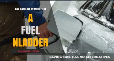 Can Gasoline Evaporate in a Fuel Ladder? Exploring the Science
