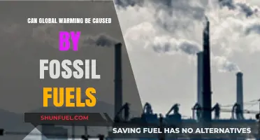 Fossil Fuels and Global Warming: Unraveling the Climate Crisis Connection
