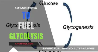Glycogen's Role in Fueling Glycolysis: Unlocking Metabolic Energy Pathways