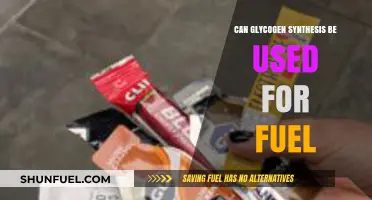 Can Glycogen Synthesis Power Your Energy Needs as Fuel?