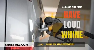 Can a Good Fuel Pump Have a Loud Whine? Explained