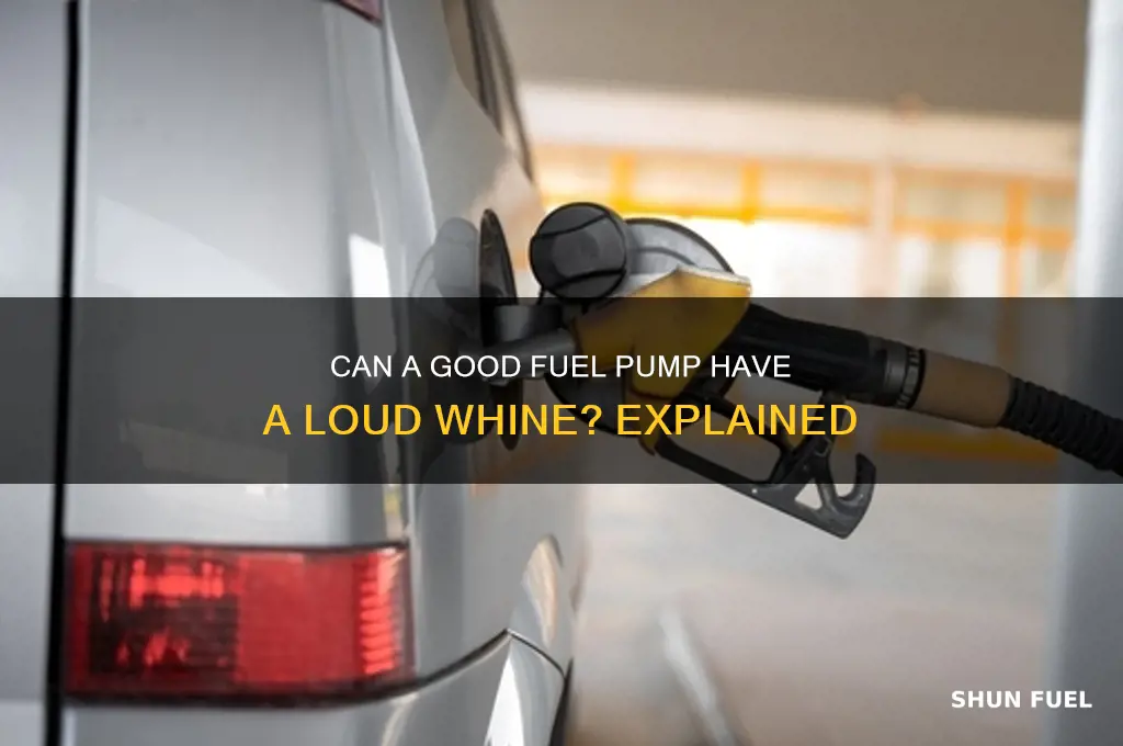 can good fuel pump have loud whine
