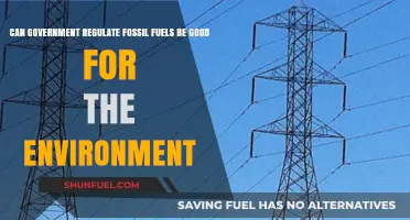 Fossil Fuels: Government Regulation for Environmental Good?