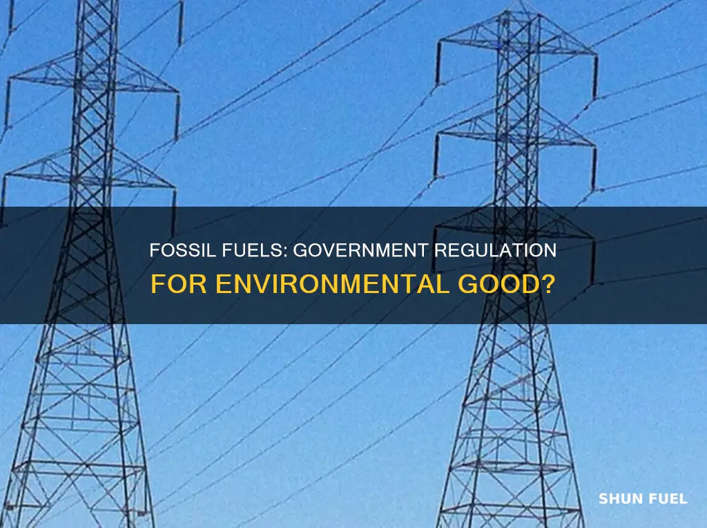 can government regulate fossil fuels be good for the environment
