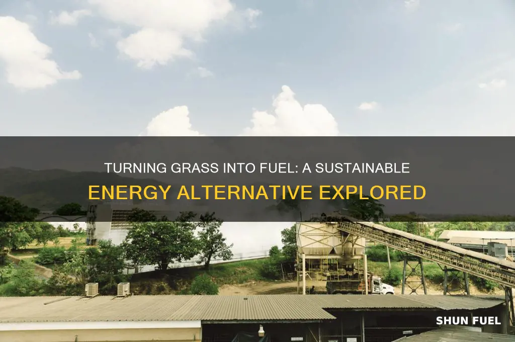 can grass be turned into fuel