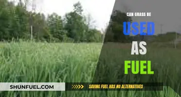 Exploring Grass as a Sustainable Alternative Fuel Source
