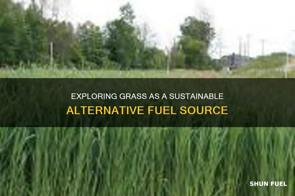 can grass be used as fuel