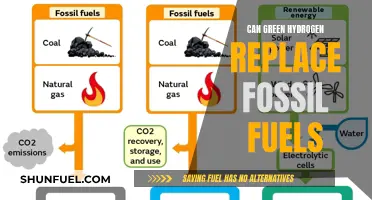 Green Hydrogen: The Future of Energy?