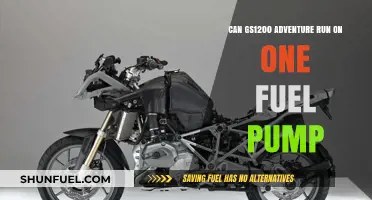 GS1200 Adventure: Can It Run Efficiently on a Single Fuel Pump?