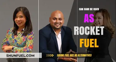 Ham as Rocket Fuel: Fact or Fiction? Exploring the Science
