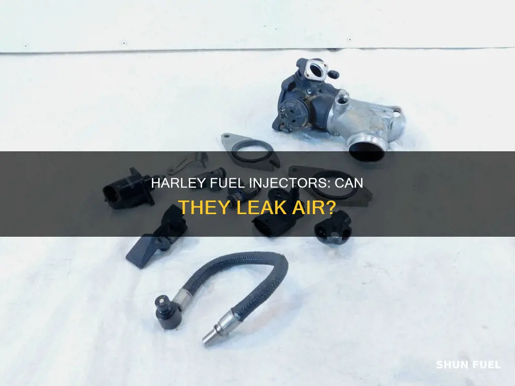 can harley fuel injectors leak air
