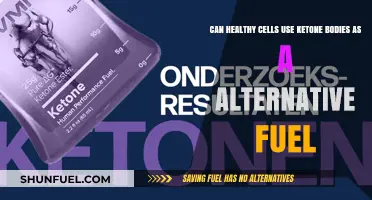 Ketone Bodies: A Viable Alternative Fuel for Healthy Cells?