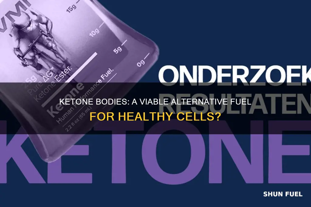 can healthy cells use ketone bodies as a alternative fuel