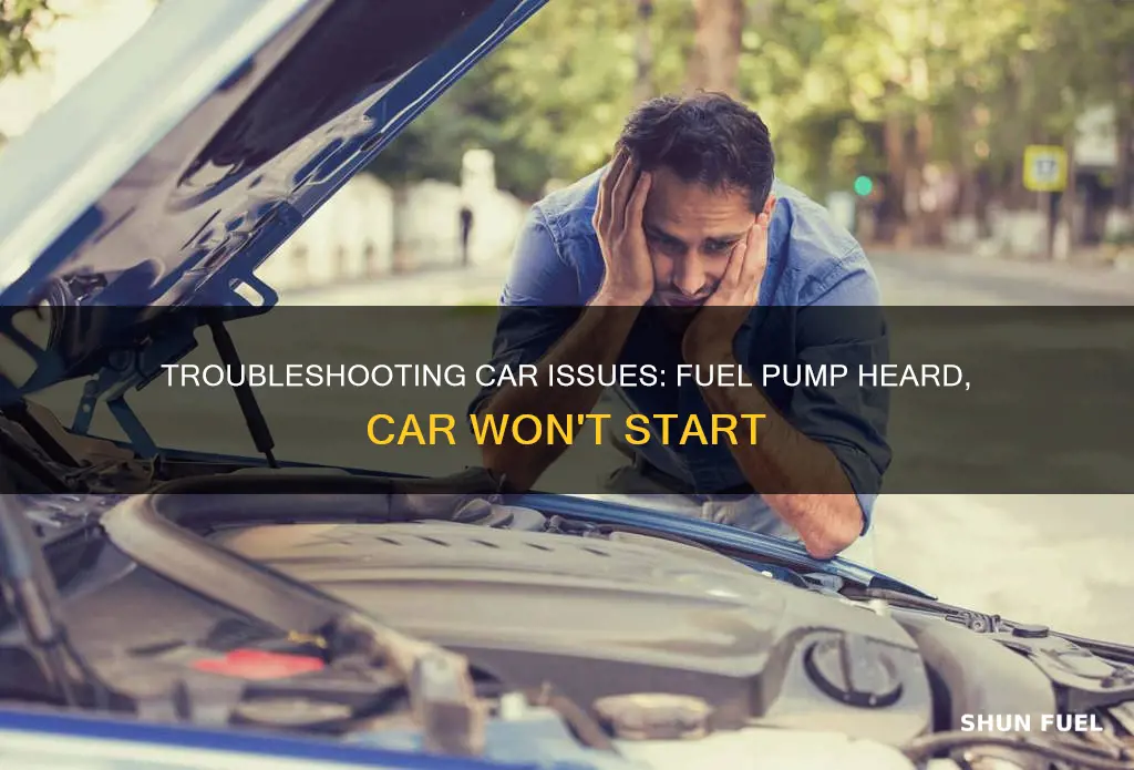 can hear fuel pump but car won t start