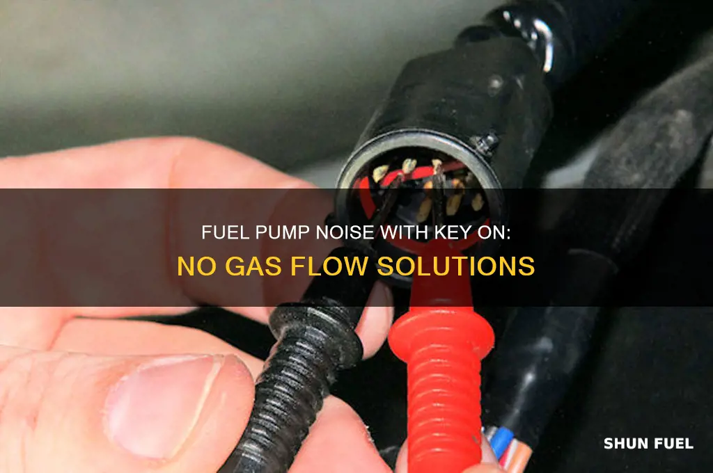 can hear fuel pump with key on but no gas