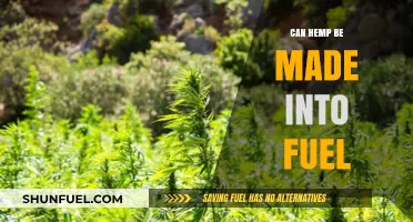 Hemp as Fuel: Sustainable Energy Alternative or Green Myth?