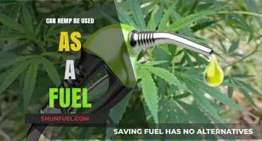 Hemp as Fuel: A Sustainable Alternative Energy Source?