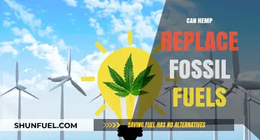 Hemp's Green Revolution: Can It Power Our Future?