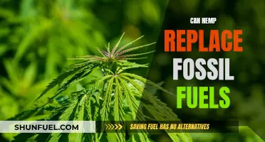 Hemp: A Green Alternative to Fossil Fuels?