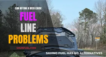 Deer Collision: Fuel Line Damage Explained