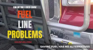 Hitting Deer: Fuel Line Problems and Car Safety