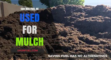 Using Hog Fuel as Mulch: Benefits, Drawbacks, and Best Practices