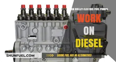 Holley Electric Fuel Pumps: Compatible with Diesel?