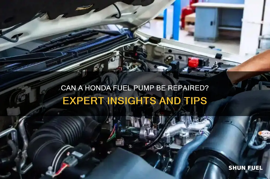 can honda fuel pump be repaired