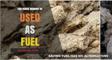 Harnessing Horse Manure: A Sustainable Fuel Alternative for Energy Needs?