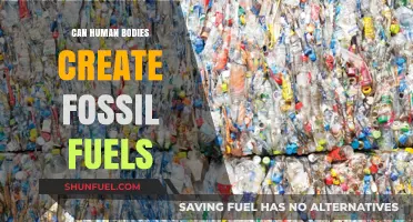 Human Fossil Fuel Creation: Is It Possible?