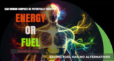 Human Corpses as Energy: Ethical and Practical Implications Explored