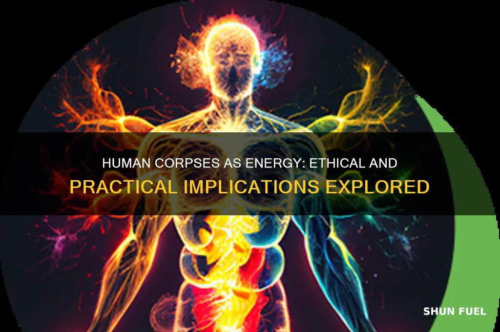 can human corpses be potentially used for energy or fuel