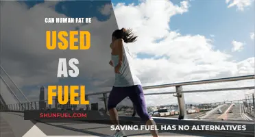 Human Fat as Fuel: Unlocking Energy Potential and Sustainability