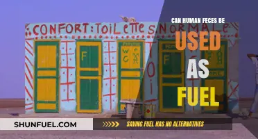 Human Waste to Energy: Exploring Feces as a Sustainable Fuel Source